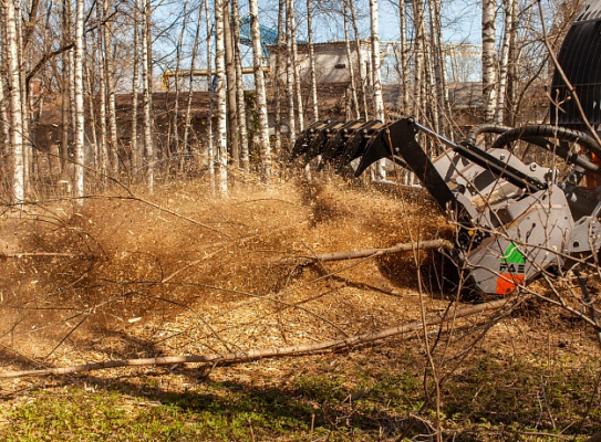Машина для расчистки просек (мульчер гусеничный) M300